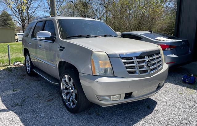 1GYFK63827R251160 - 2007 CADILLAC ESCALADE LUXURY GOLD photo 1