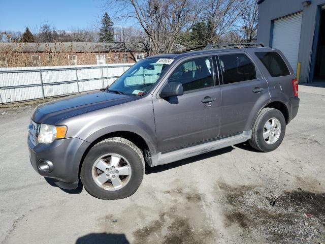 1FMCU0DG5AKD09683 - 2010 FORD ESCAPE XLT GRAY photo 1