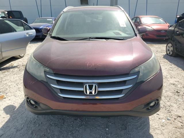 5J6RM3H71EL021597 - 2014 HONDA CR-V EXL BURGUNDY photo 5