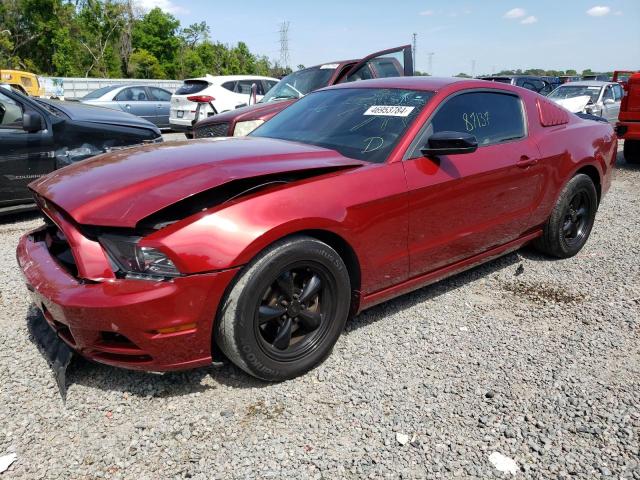 1ZVBP8AMXE5290565 - 2014 FORD MUSTANG RED photo 1