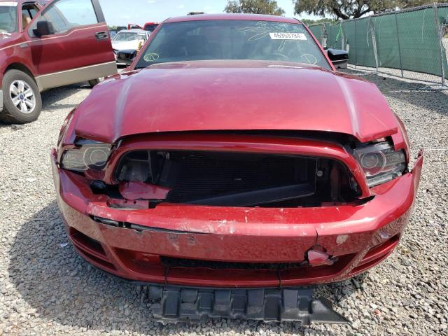 1ZVBP8AMXE5290565 - 2014 FORD MUSTANG RED photo 5