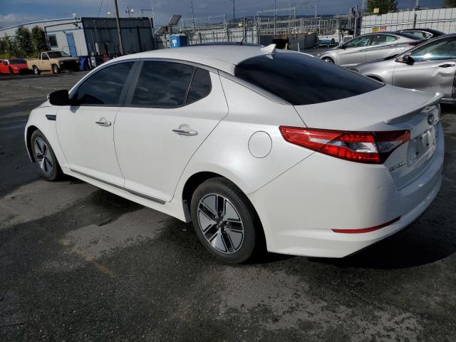 KNAGM4AD5B5003362 - 2011 KIA OPTIMA HYBRID WHITE photo 2