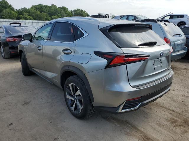 JTJBJRBZXJ2079329 - 2018 LEXUS NX 300H BEIGE photo 2