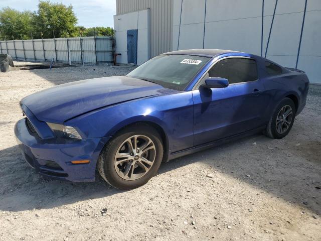 1ZVBP8AM8D5268112 - 2013 FORD MUSTANG BLUE photo 1