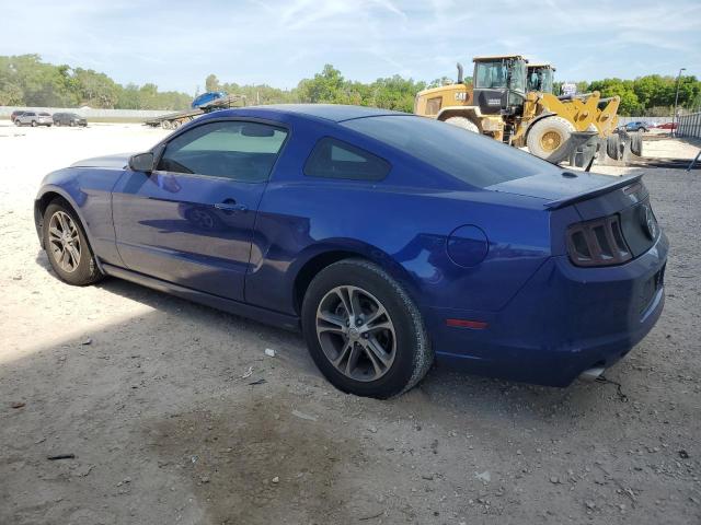 1ZVBP8AM8D5268112 - 2013 FORD MUSTANG BLUE photo 2