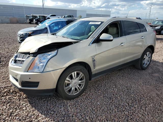 3GYFNAEY3BS643576 - 2011 CADILLAC SRX LUXURY COLLECTION GOLD photo 1