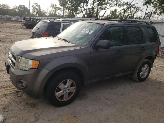 2011 FORD ESCAPE XLT, 