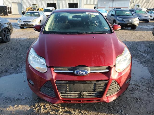 1FADP3F28EL441796 - 2014 FORD FOCUS SE MAROON photo 5