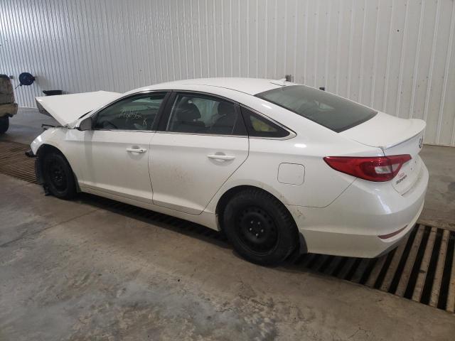 5NPE24AF1GH378089 - 2016 HYUNDAI SONATA SE WHITE photo 2