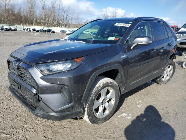 JTMMWRFV9KD024509 - 2019 TOYOTA RAV4 LE GRAY photo 1