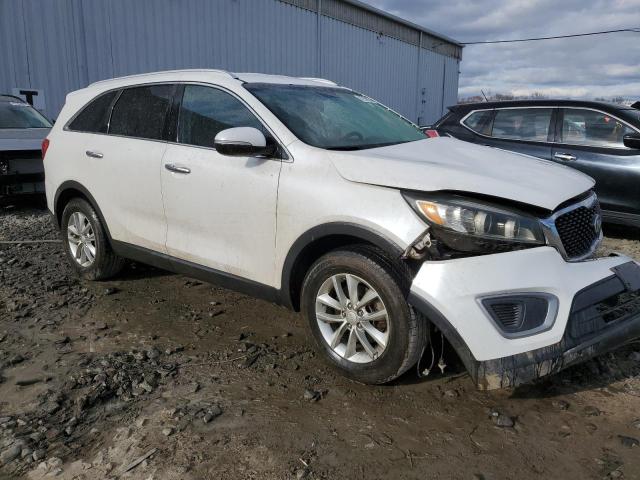 5XYPG4A38GG125388 - 2016 KIA SORENTO LX WHITE photo 4