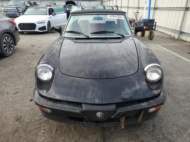 ZARBA12TXL6001912 - 1990 ALFA ROMEO SPIDER QUADRIFOGLIO BLACK photo 5