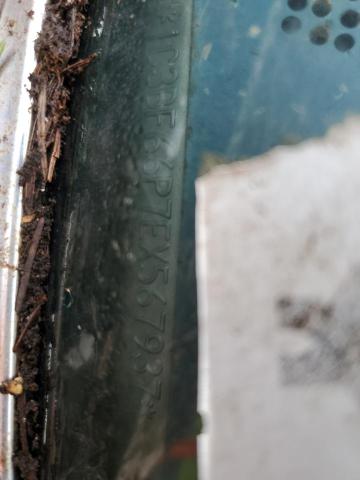 1C3BF66P7EX567937 - 1984 CHRYSLER FIFTH AVEN 白色 照片 12