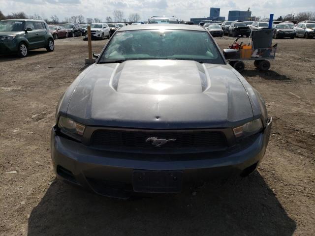 1ZVBP8AM8B5112455 - 2011 FORD MUSTANG GRAY photo 5