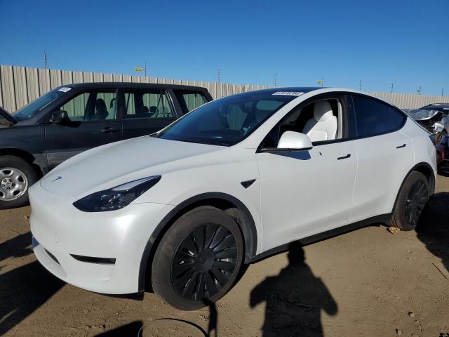 2023 TESLA MODEL Y, 