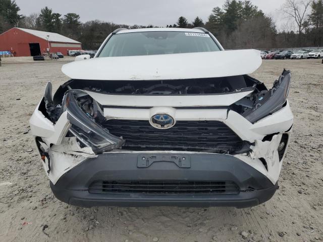 2T3RWRFV0LW064990 - 2020 TOYOTA RAV4 XLE WHITE photo 5