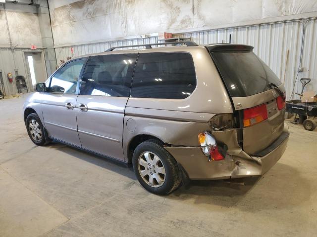 5FNRL18673B112491 - 2003 HONDA ODYSSEY EX TAN photo 2