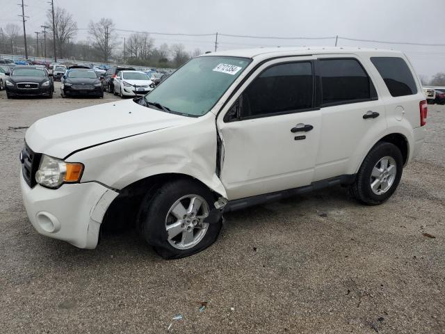 2009 FORD ESCAPE XLT, 