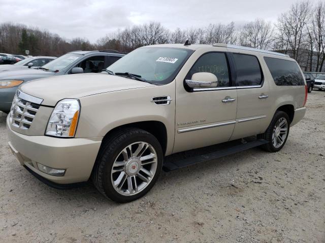 1GYFK66868R241549 - 2008 CADILLAC ESCALADE ESV GOLD photo 1