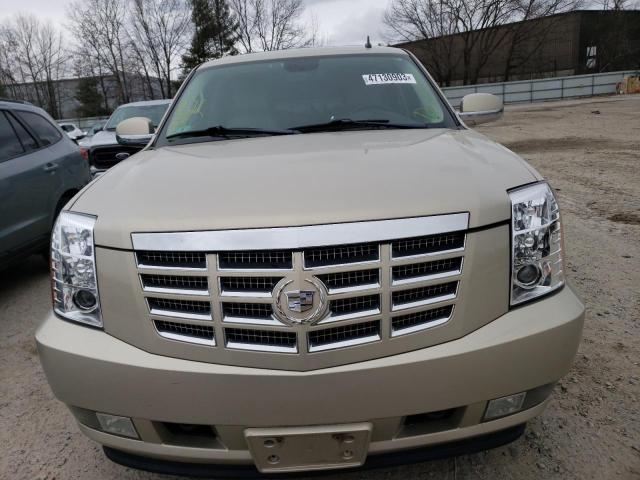 1GYFK66868R241549 - 2008 CADILLAC ESCALADE ESV GOLD photo 5