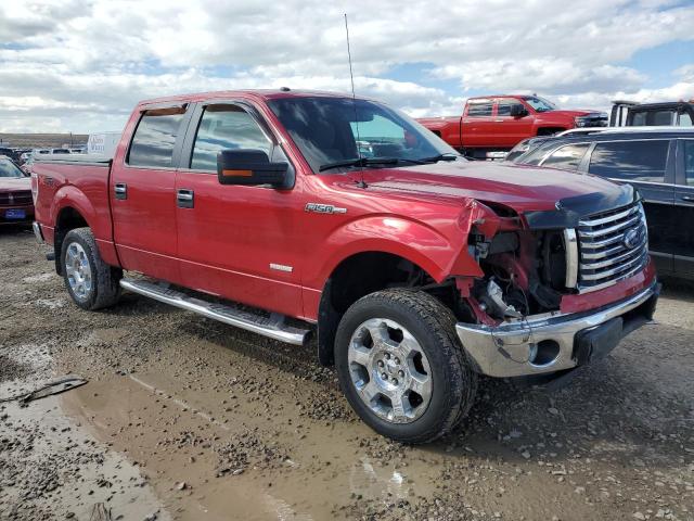 1FTFW1ET8CKD40765 - 2012 FORD F150 SUPERCREW RED photo 4