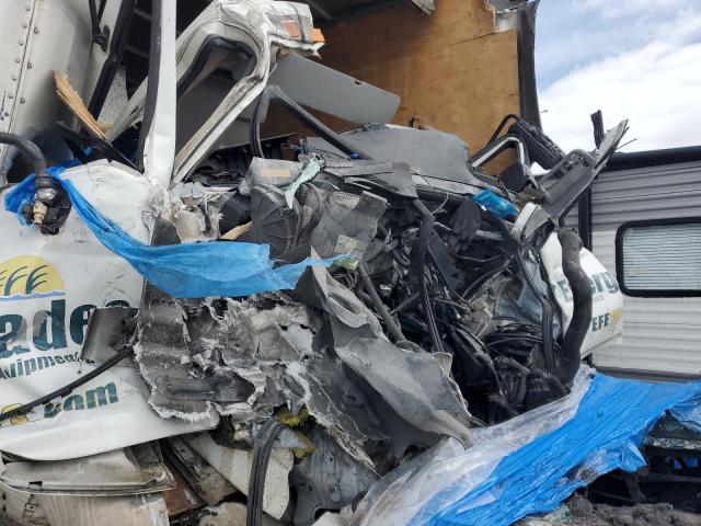 5PVNJ8JV1G4S62303 - 2016 HINO 258/268 WHITE photo 5