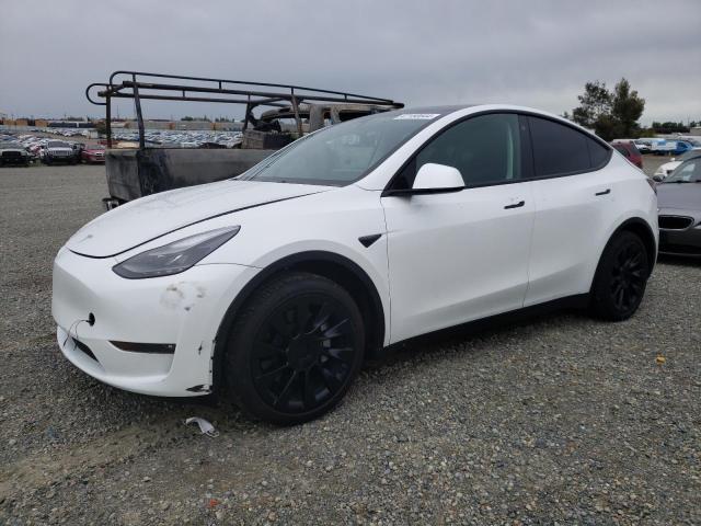 2023 TESLA MODEL Y, 