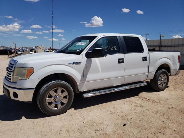 1FTEW1C80AFC84384 - 2010 FORD F150 SUPERCREW WHITE photo 1