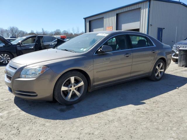 1G1ZC5E1XBF252229 - 2011 CHEVROLET MALIBU 1LT GRAY photo 1