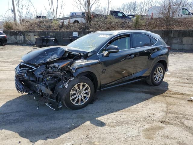 JTJDARDZ2M2239181 - 2021 LEXUS NX 300 BASE Қара фото 1