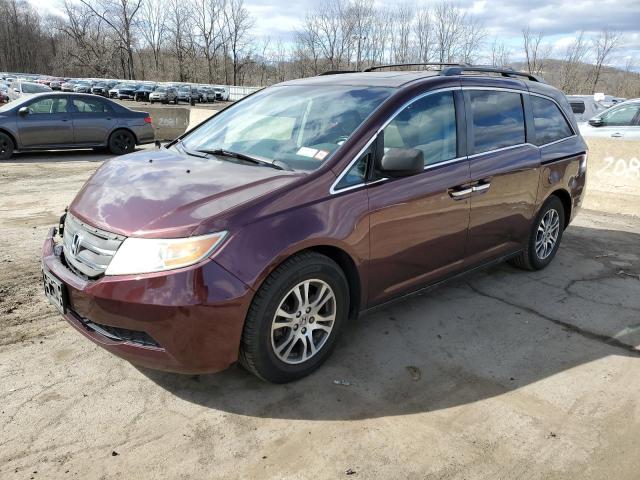 5FNRL5H69CB068081 - 2012 HONDA ODYSSEY EXL BURGUNDY photo 1