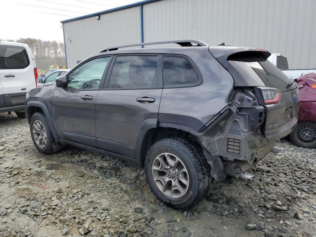 1C4PJMBX3LD560041 - 2020 JEEP CHEROKEE TRAILHAWK Boz foto 2