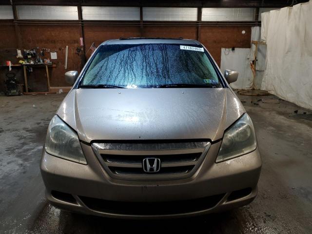 5FNRL38795B073569 - 2005 HONDA ODYSSEY EXL BEIGE photo 5