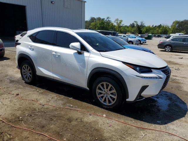 JTJDARBZ4M5031157 - 2021 LEXUS NX 300 BASE 白色 照片 4