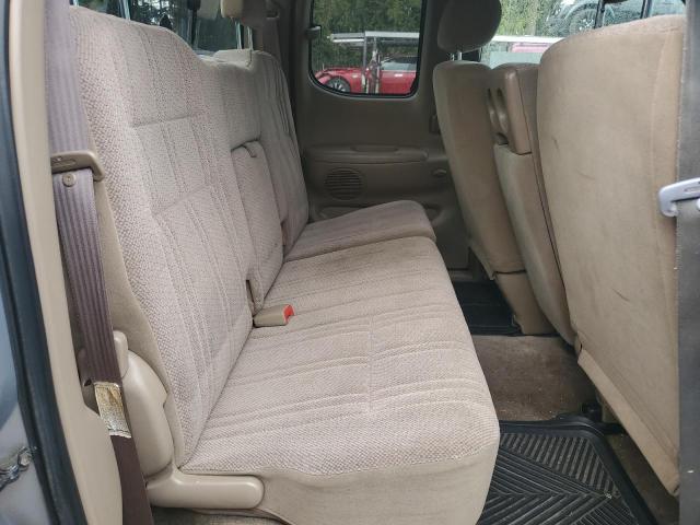 5TBBT44102S266315 - 2002 TOYOTA TUNDRA ACCESS CAB თაფლისფერი ფოტო 10