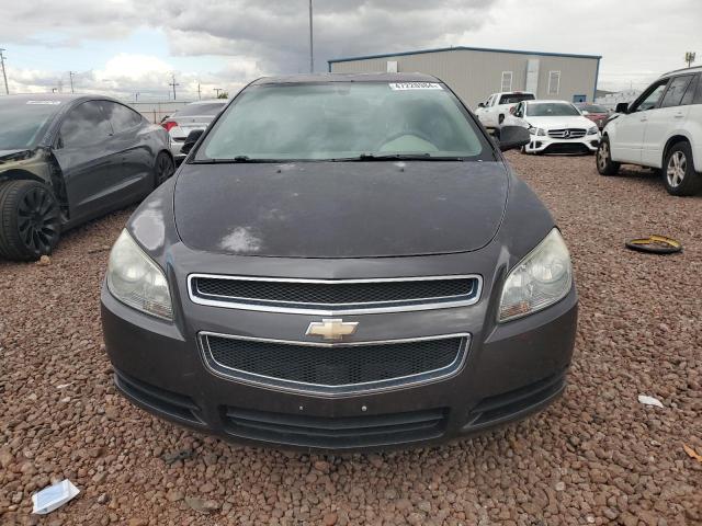 1G1ZB5EB1A4156253 - 2010 CHEVROLET MALIBU LS GRAY photo 5