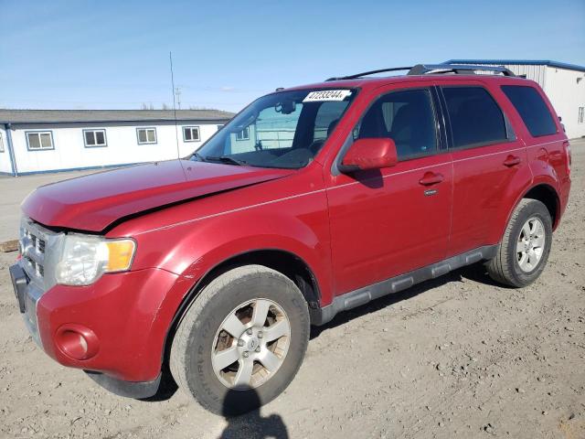 2010 FORD ESCAPE LIMITED, 