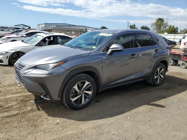 JTJGARBZXM2181062 - 2021 LEXUS NX 300 BASE Boz foto 1