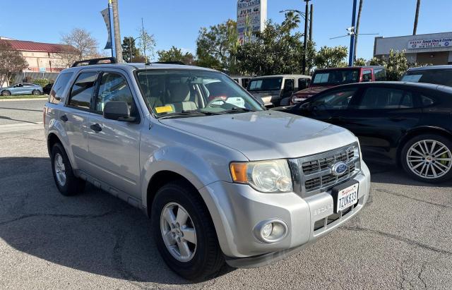 2010 FORD ESCAPE XLT, 