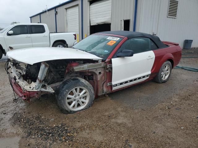 1ZVHT84N885135950 - 2008 FORD MUSTANG TWO TONE photo 1