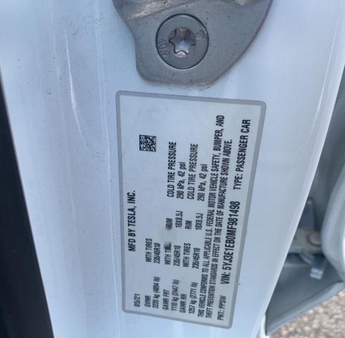 5YJ3E1EB0MF981498 - 2021 TESLA MODEL 3 Ağ foto 10