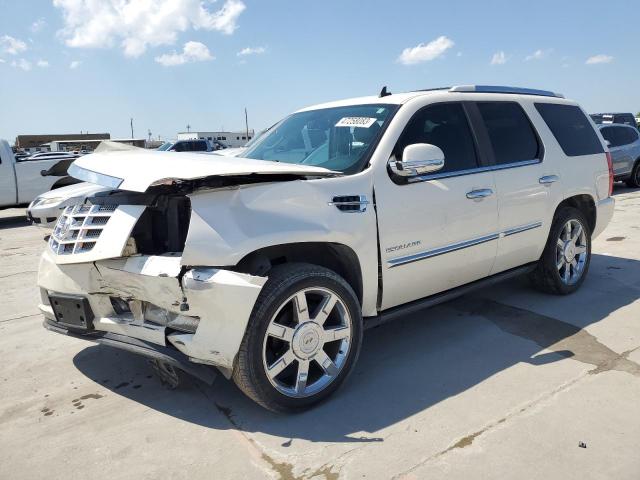 1GYUKCEF9AR194965 - 2010 CADILLAC ESCALADE PREMIUM WHITE photo 1