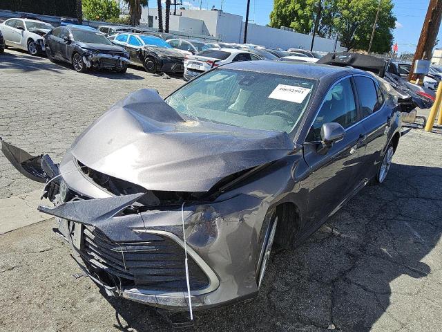2023 TOYOTA CAMRY LE, null