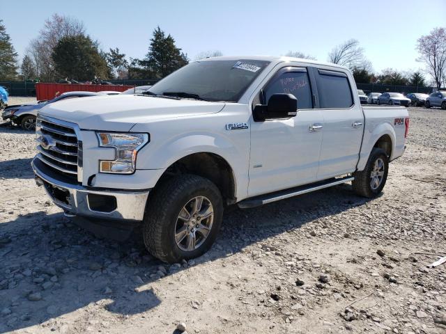 1FTEW1EP7FFB54727 - 2015 FORD F150 SUPERCREW WHITE photo 1