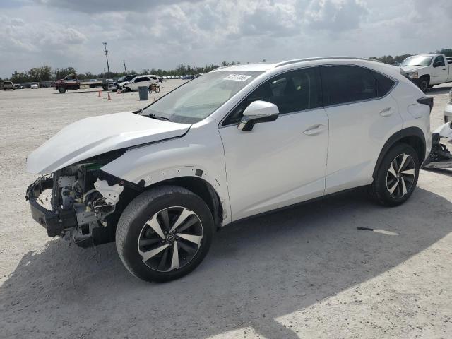 JTJBARBZ1K2181135 - 2019 LEXUS NX 300 BASE თეთრი ფოტო 1