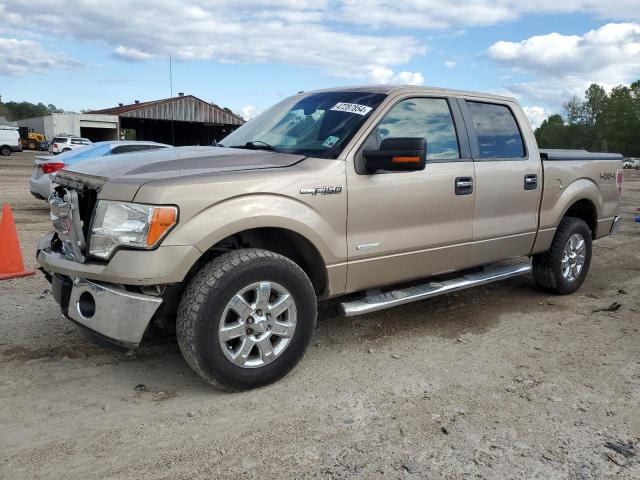 1FTFW1ET0DKD45394 - 2013 FORD F150 SUPERCREW TAN photo 1