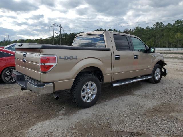 1FTFW1ET0DKD45394 - 2013 FORD F150 SUPERCREW TAN photo 3