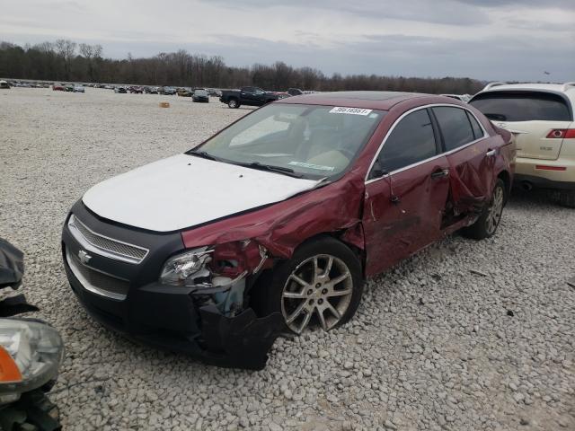 1G1ZK57789F171731 - 2009 CHEVROLET MALIBU LTZ მუქწითელი ფოტო 2