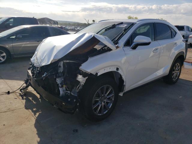 JTJYARBZ7K2151437 - 2019 LEXUS NX 300 BASE 白色 照片 1