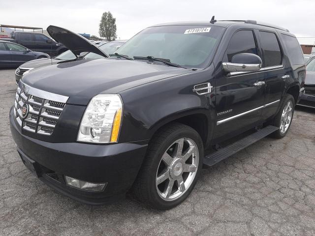 1GYUKCEF5AR154625 - 2010 CADILLAC ESCALADE PREMIUM BLACK photo 1